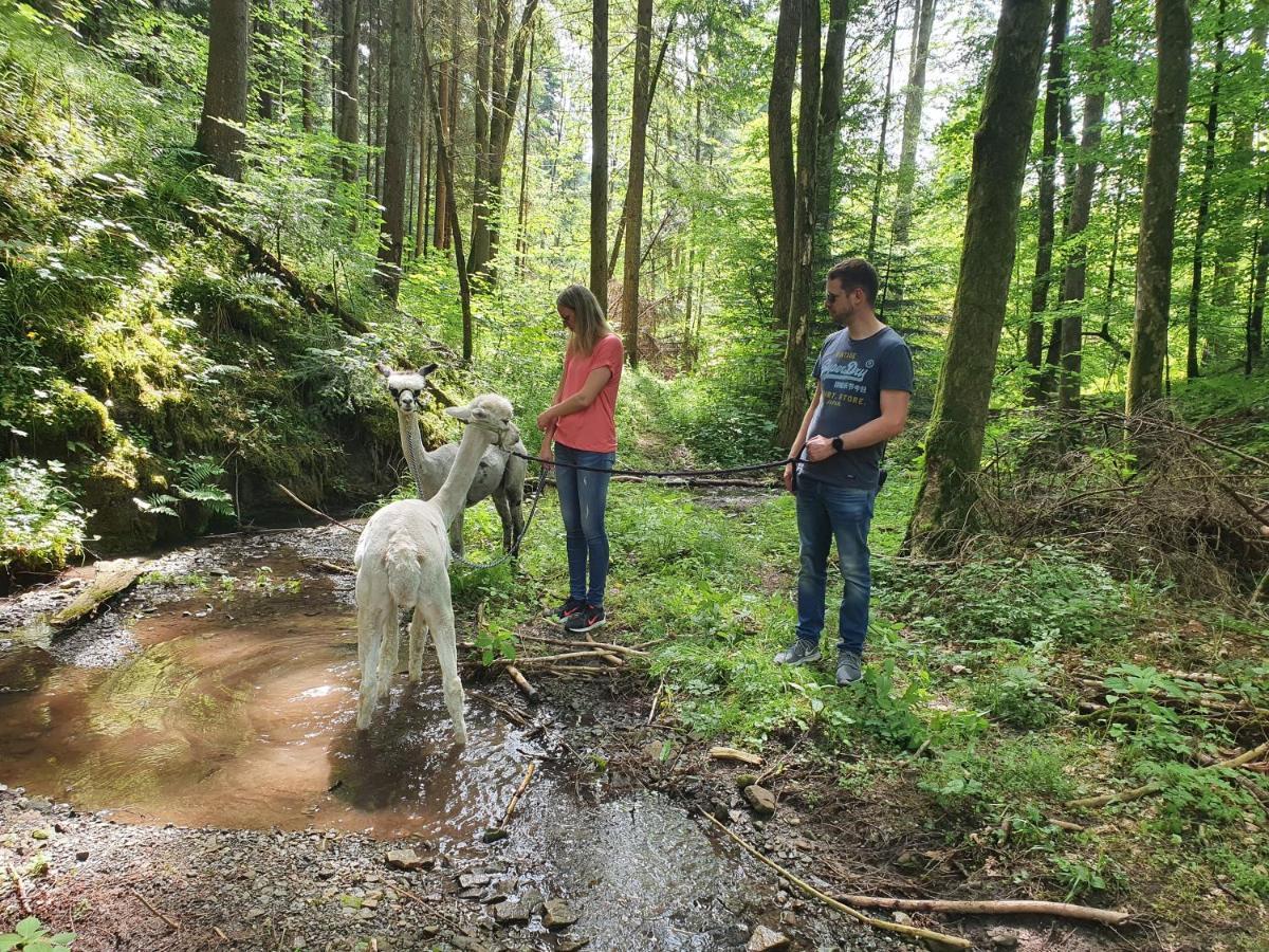 Lana Salta Alpakas - Gemuetliche Ferienwohnungen Auf Dem Bauernhof Murrhardt Esterno foto