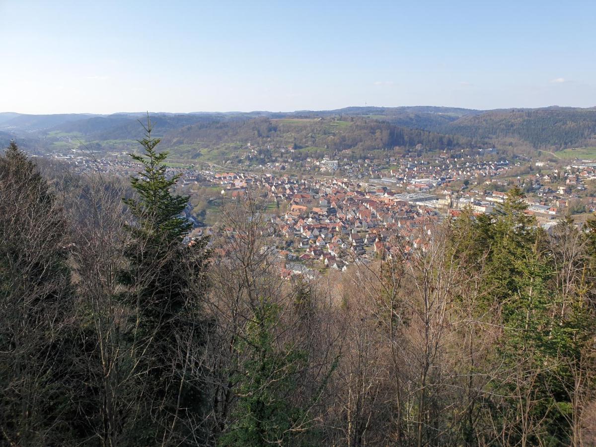 Lana Salta Alpakas - Gemuetliche Ferienwohnungen Auf Dem Bauernhof Murrhardt Esterno foto