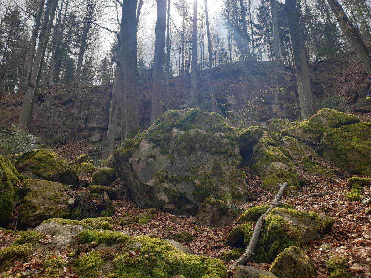 Lana Salta Alpakas - Gemuetliche Ferienwohnungen Auf Dem Bauernhof Murrhardt Esterno foto