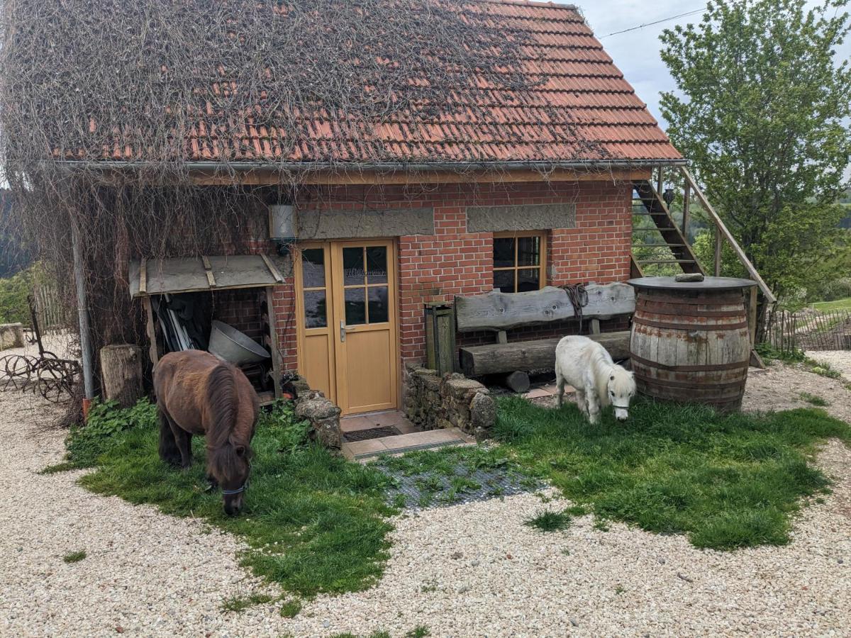 Lana Salta Alpakas - Gemuetliche Ferienwohnungen Auf Dem Bauernhof Murrhardt Esterno foto