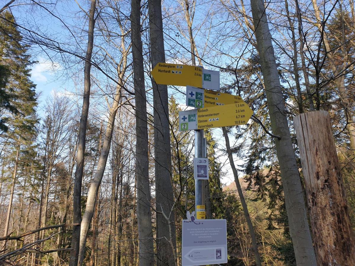 Lana Salta Alpakas - Gemuetliche Ferienwohnungen Auf Dem Bauernhof Murrhardt Esterno foto